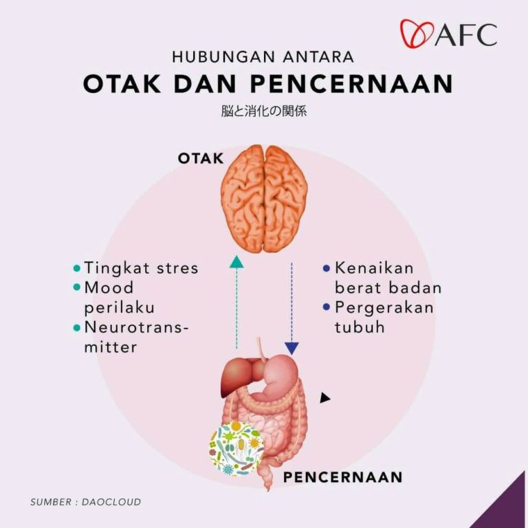 Hubungan Otak dan Pencernaan (1)