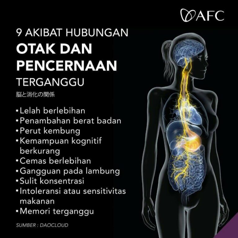 Hubungan Otak dan Pencernaan (2)