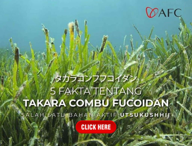 Manfaat Takara Combu Fucoidan