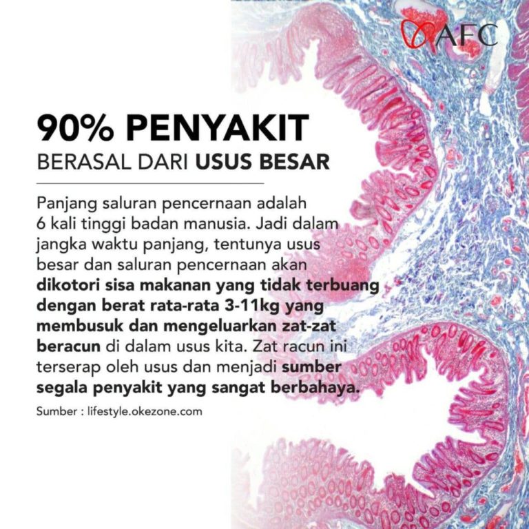 Penyakit Berasal Dari Usus Besar