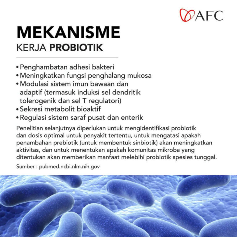 Probiotik - Mekanisme Kerjanya