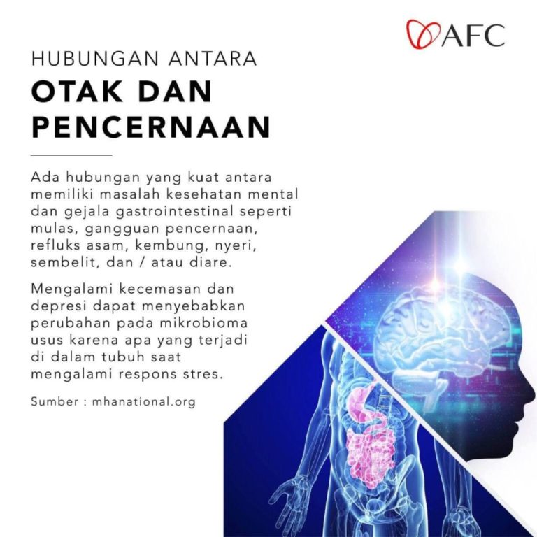 Hubungan Otak dan Pencernaan